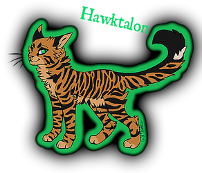 Hawktalon