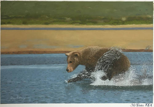 Grizzly bear soft pastel