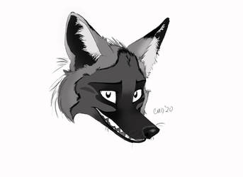 Fox Practice Sketch