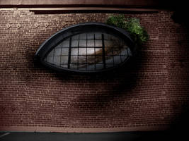 Eye in the wall