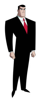 Bruce Wayne - The New Batman Adventures