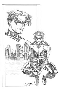 Favorites: Nightwing