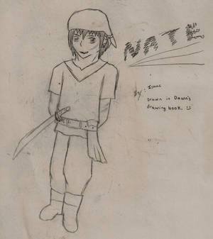 Nate the Pirate