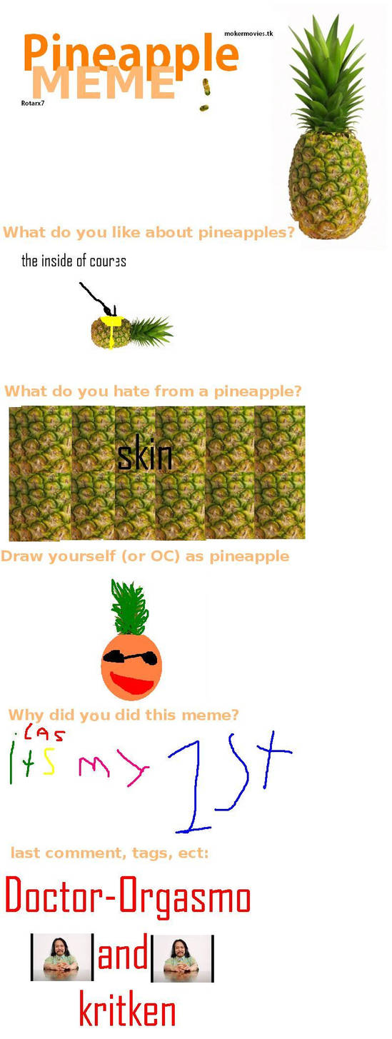 The Pineapple Meme By Iamcommandoman On Deviantart The Pineapple Meme By Iamcommandoman On Deviantart