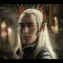 Thranduil the sassmaster (The Hobbit)