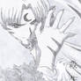 Lord Sesshomaru