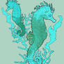 Seahorses