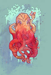 CFP Octo