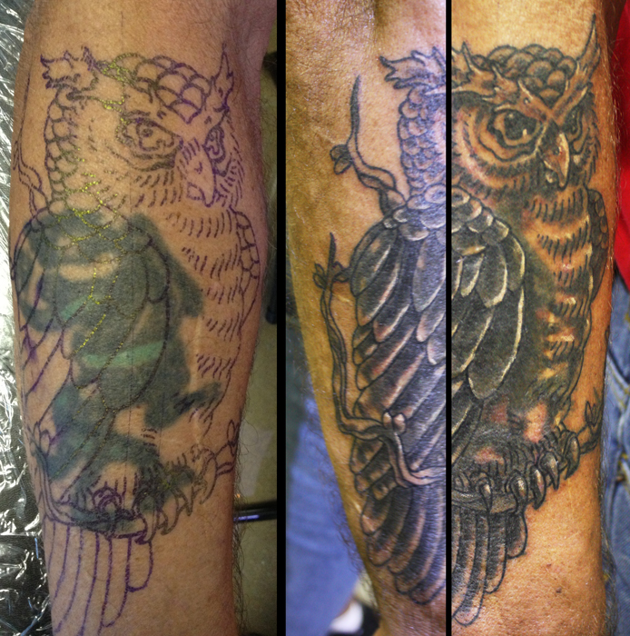 Owl Coverup