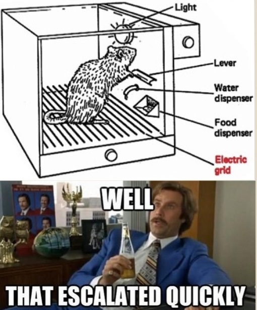 Psychology Jokes. :v