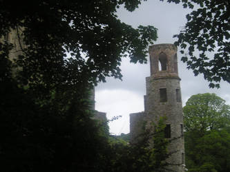 Blarney Castle