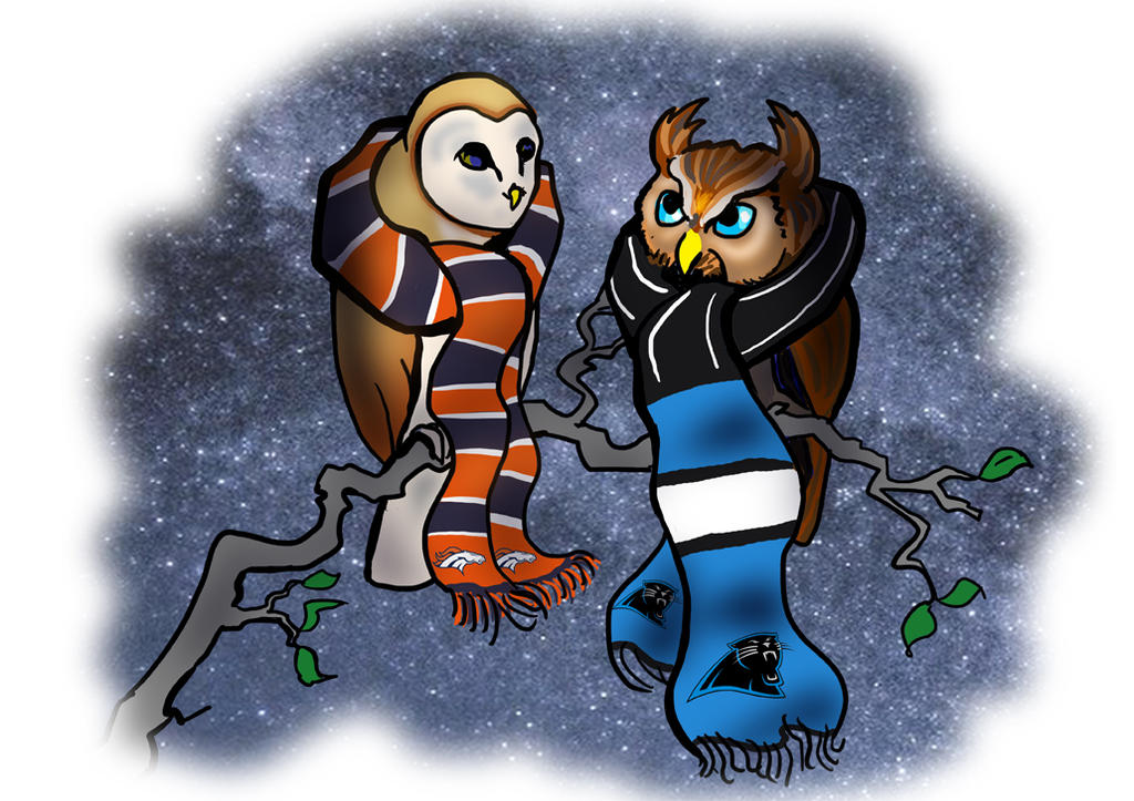 Superb Owl 50 by wpmorse
