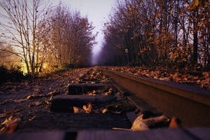 Sunset Rail Tracks