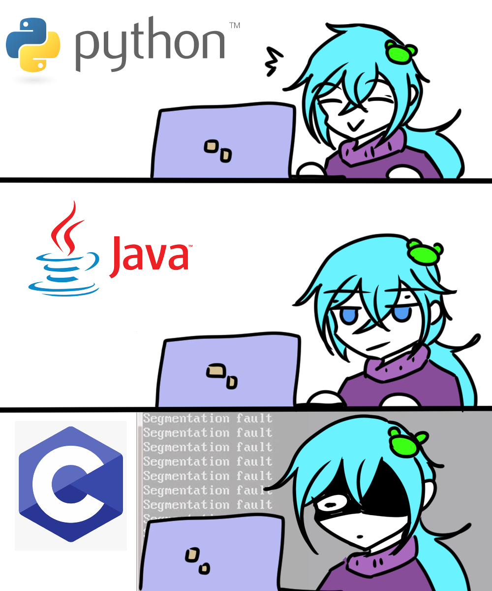 Programming meme by Froaproa on DeviantArt