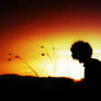 The Rising Sun