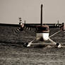 Sea Plane