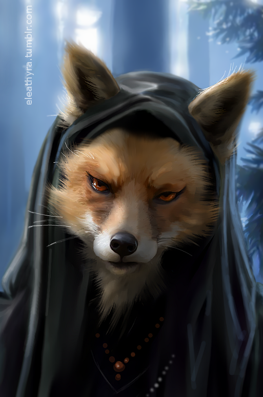 Unfinished Wizard Fox