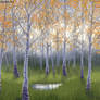 Golden Birch Forest (with video)