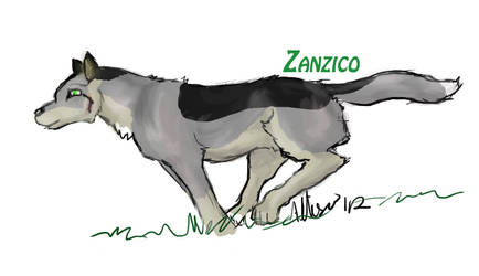 Zanzico