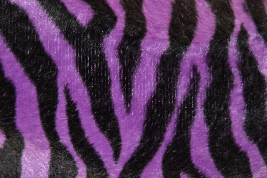 purple and black  zebra print