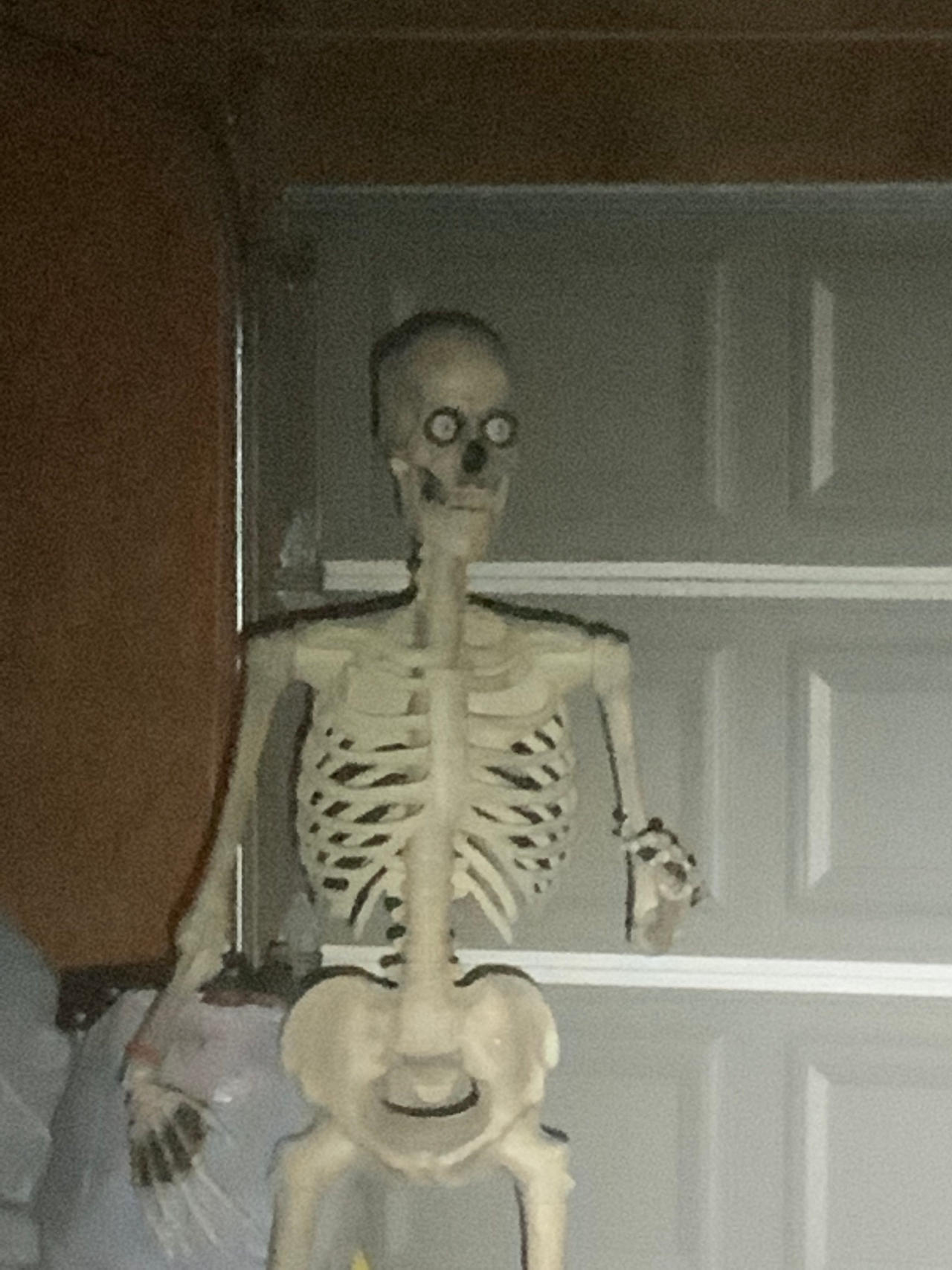 Skeleton by Tuesdayisgoingwellwe on DeviantArt