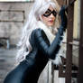 Black Cat - Spiderman