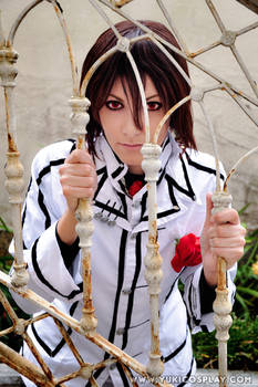 Vampire Knight Kaname Cosplay