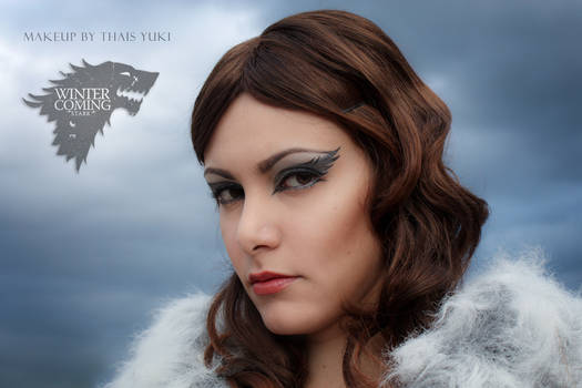 STARK makeup - Game of Thrones inspired