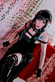 Yor Cosplay