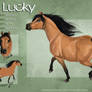 Lucky - reference 2010