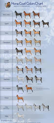 Horse coat colors chart