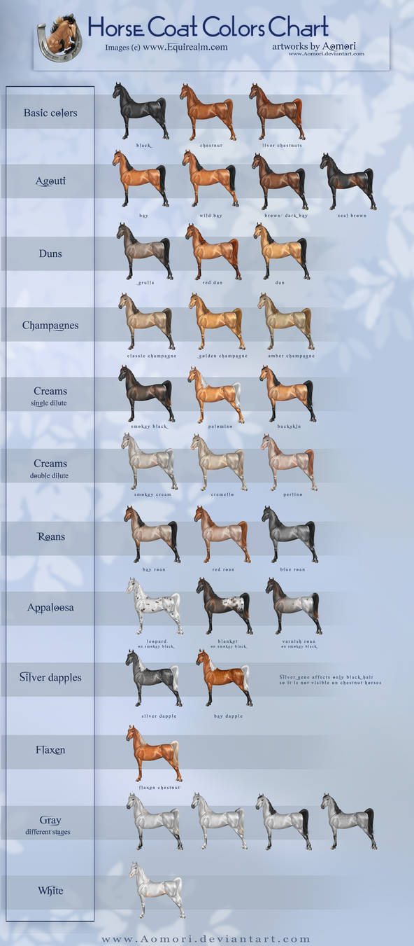 Horse coat colors chart by AonikaArt on DeviantArt