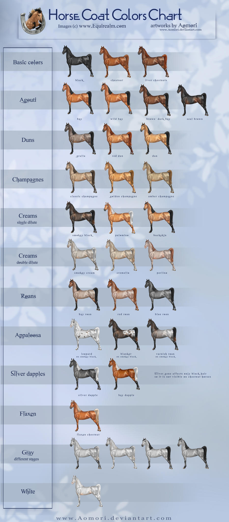 Horse coat colors chart