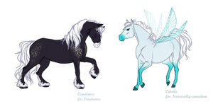 -Thank you- horses