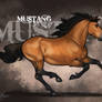 Adult Mustang for Mestengo v2