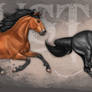 Mustang - final artwork