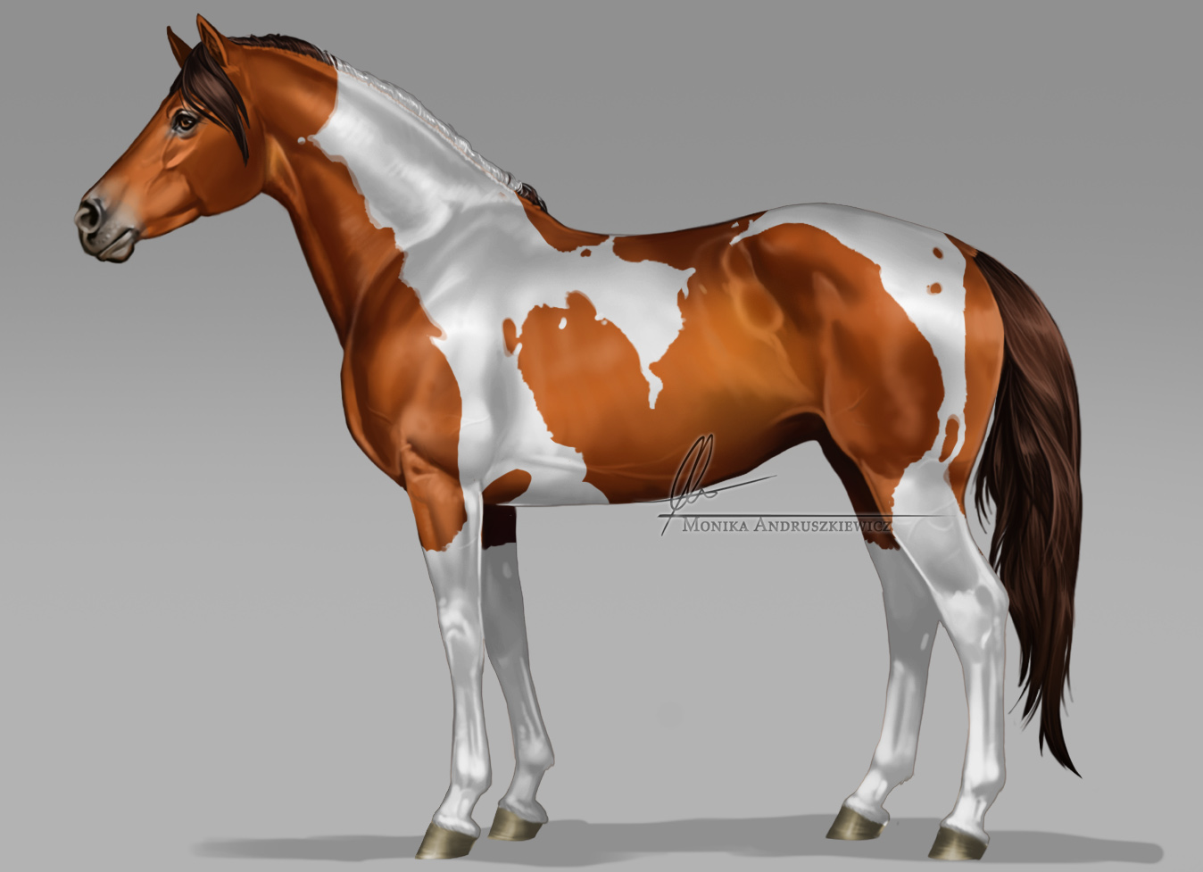 Paint horse