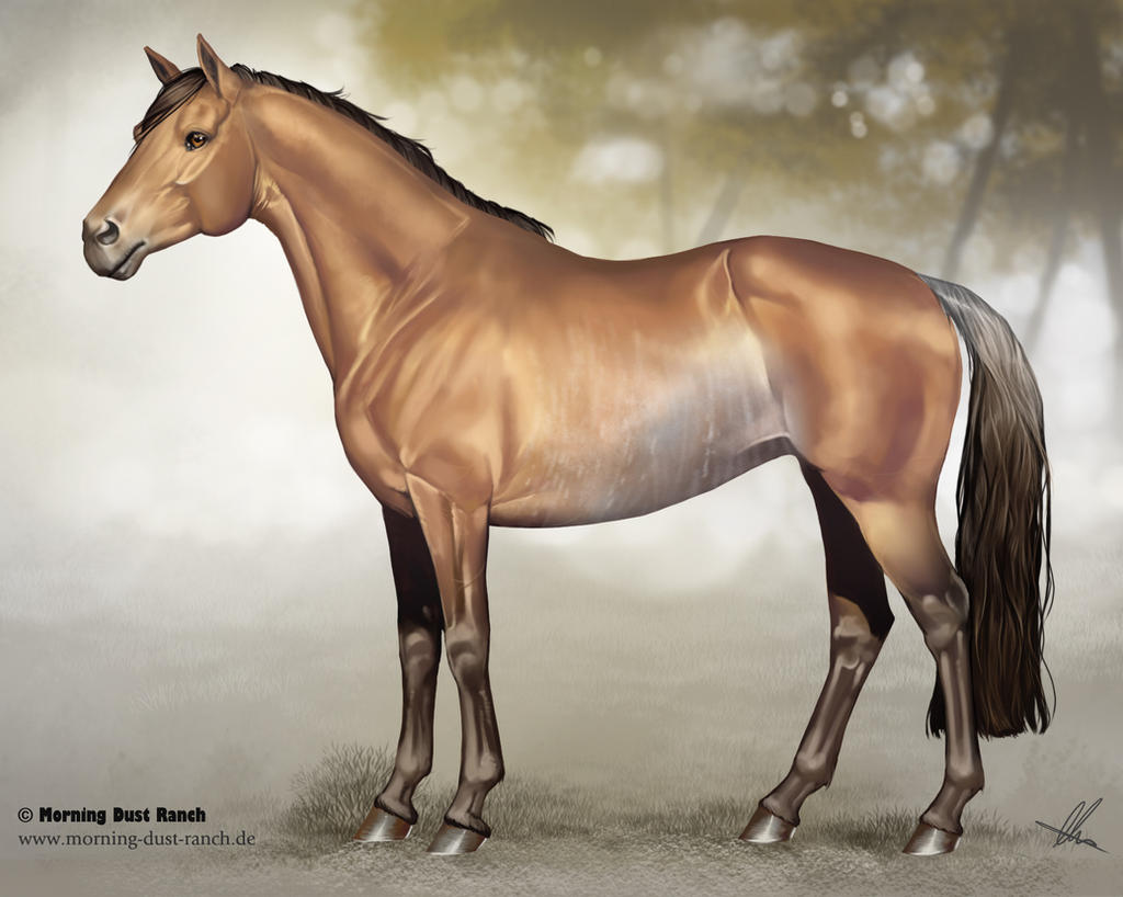 Hanoverian for Morning Dust Ranch by AonikaArt on DeviantArt