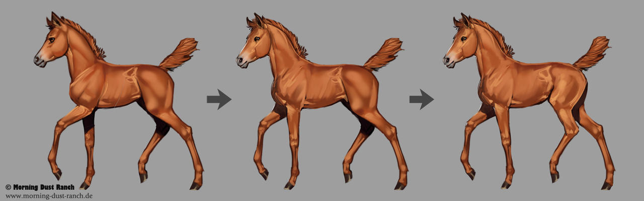 Warmblood Foal for Morning Dust Ranch by AonikaArt on DeviantArt
