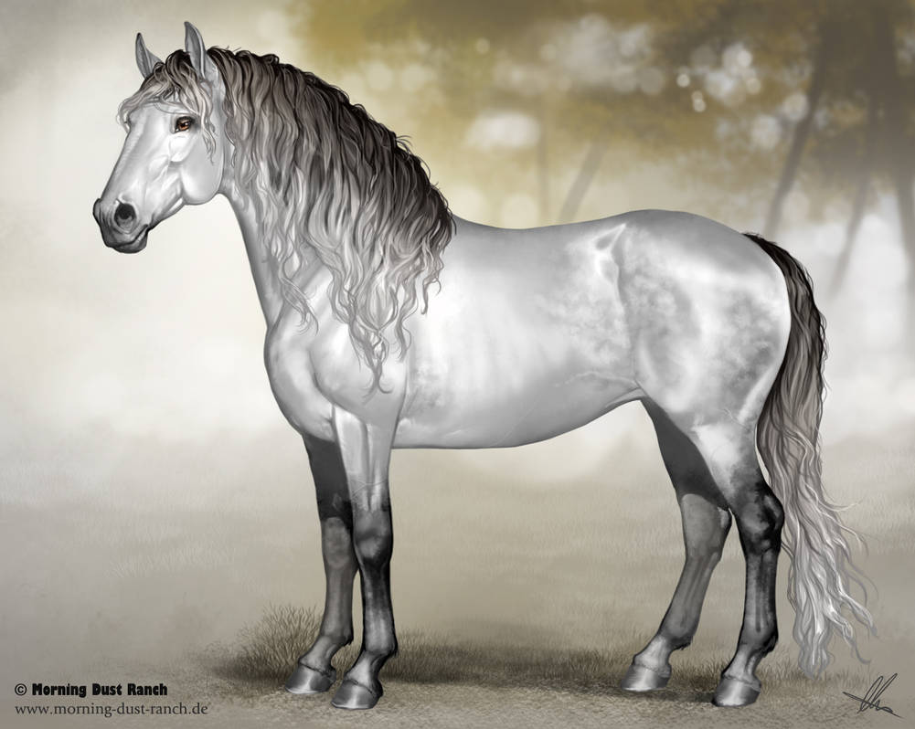 Andalusian for Morning Dust Ranch by AonikaArt on DeviantArt