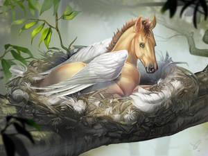 Pegasus nest by AonikaArt