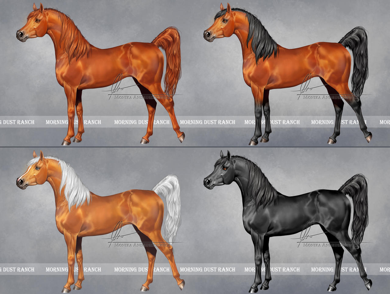 Arabian horse for MorningDustRanch by AonikaArt on DeviantArt