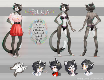 Felicia reference sheet