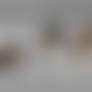 37 - Warg evolution chart -dark - WEB