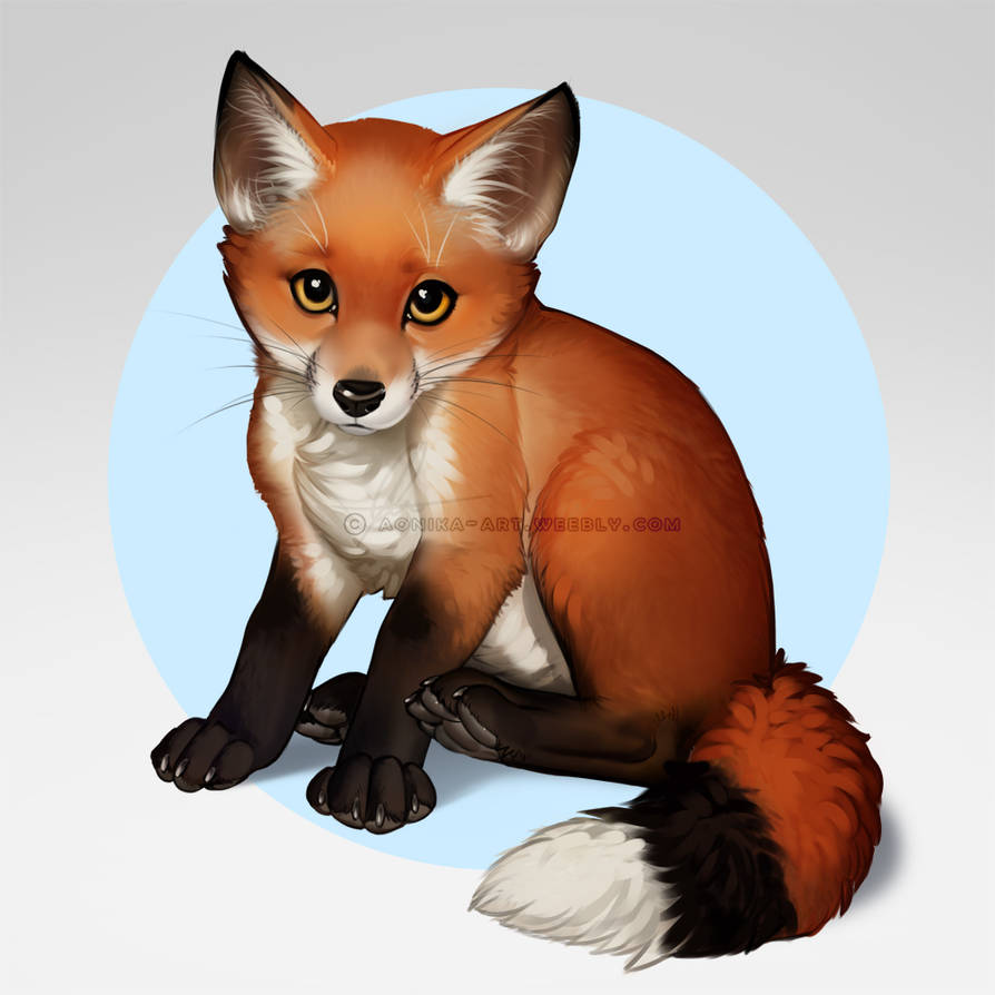 Red Fox by AonikaArt on DeviantArt