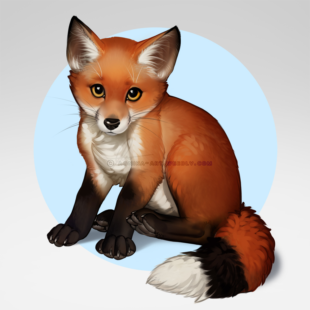 Deviantart Foxa Red Fox by AonikaArt on DeviantArt