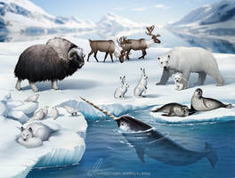 Arctic habitat