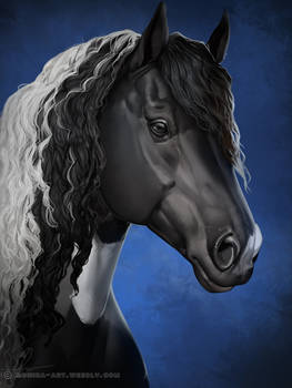 Horse portrait