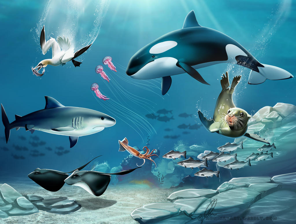 Ocean Habitat By Aonikaart On Deviantart Ocean Habitat By Aonikaart On Deviantart