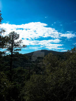 Blue Over Green